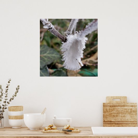 Poster plumes congelées (Cuisine)