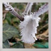 Poster plumes congelées (Devant)