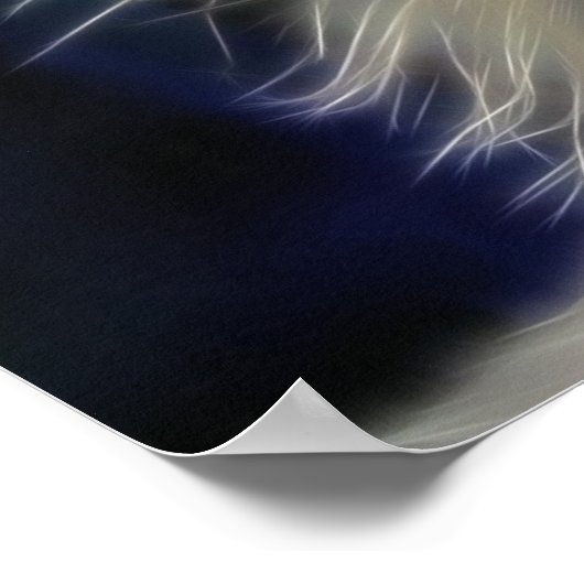 Poster Plumes d'ange (Coin)