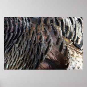 Poster Plumes de Dindon Sauvage I Design Abstrait de la N