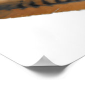 Poster Plumes de faucon rouge (Coin)