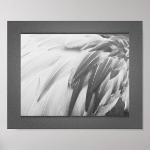 Poster Plumes de Flamant rose monochrome Art imprimable