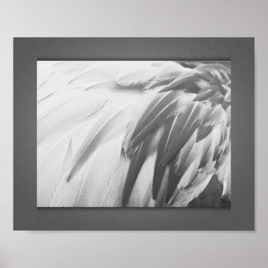 Poster Plumes de Flamant rose monochrome Art imprimable (Devant)