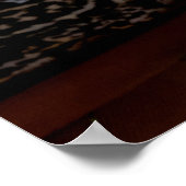 Poster Plumes de paon (Coin)