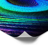 Poster plumes de paon (Coin)