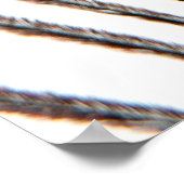 Poster Plumes de paon (Coin)