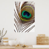 Poster Plumes de paon (Cuisine)