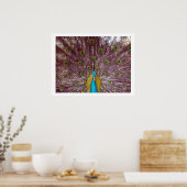 Poster plumes de paon (Cuisine)