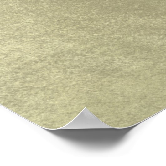 Poster Plumes de paon Imprimer, papier d'affiche de valeu (Coin)