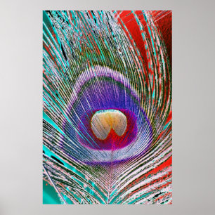 Poster Plumes de paon négatives