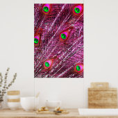 Poster Plumes de paon rouge plumage de couleur (Cuisine)