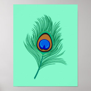 Poster Plumes de paon turquoise sur Aqua clair