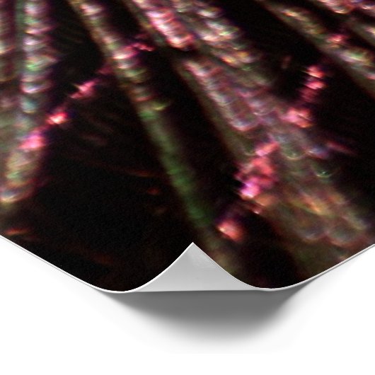 Poster Plumes de paquetage (Coin)