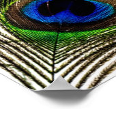 Poster Plumes de paquetage (Coin)