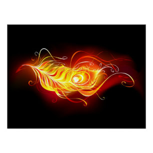 Poster Plumes de paquetage de feu