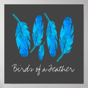 Poster Plumes de saumons bleus bleu et gris