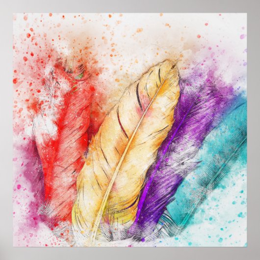 Poster Plumes d'oiseaux colorées (Devant)