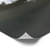 Poster Plumes flottantes d'oie (Coin)