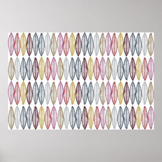 Poster Plumes marocaines (Devant)