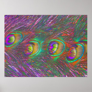 Poster Plumes Peacock Tinsel de Noël