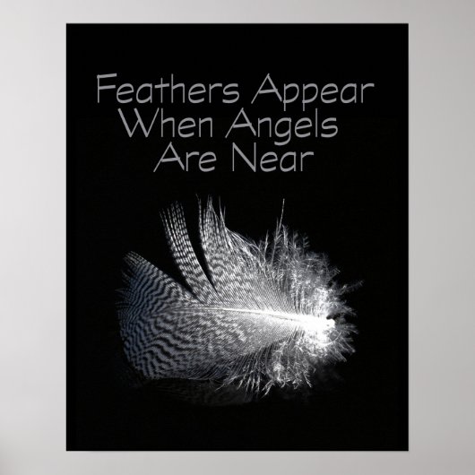 Poster Plumes rayées noir et blanc flottant sur un étang (Devant)