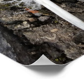 Poster plumes sur chaussée (Coin)