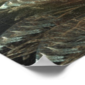 Poster Plumes tombantes (Coin)