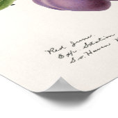 Poster Plums pourpres (Prunus Domestica) Peinture aux fru (Coin)