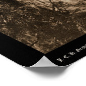 Poster Plunge Bath & Evan's Residence Hot Springs SD 1891 (Coin)