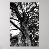 Poster Plus grand que vous ne pensez (Devant)