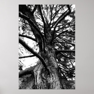 Poster Plus grand que vous ne pensez