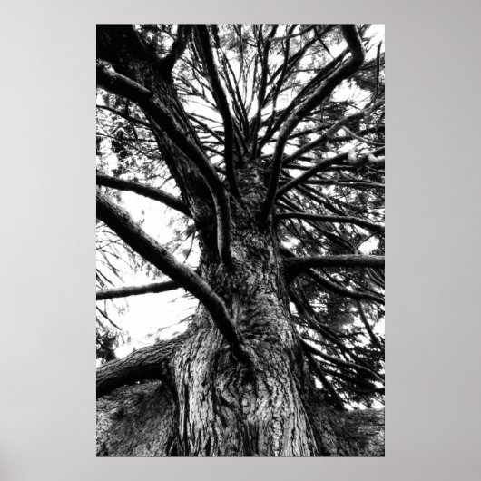 Poster Plus grand que vous ne pensez (Devant)