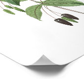 Poster PLUS HAUTE QUALITÉ Imprimerie botanique de Fuchsia (Coin)