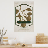 POSTER PLUS TARD, IL PORTERA DES FRUITS V2 (Cuisine)