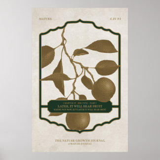 POSTER PLUS TARD, IL PORTERA DES FRUITS V2