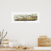 Poster Pluvier siffleur, John Audubon (Cuisine)