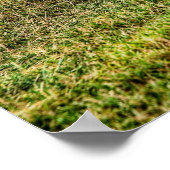 Poster Plymouth GTX 1970 (Coin)