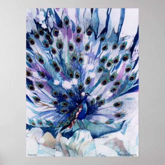Poster PMACarlson Peacock I (Devant)