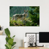 Poster Poaster (Bureau à domicile)