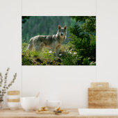 Poster Poaster (Cuisine)