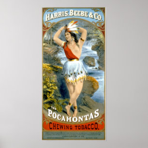 Poster Pocahontas Amérindien Maiden