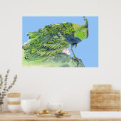 Poster Poche à pied Peacock Dessin 2 (Cuisine)