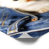 Poster Poche Kitten (Coin)