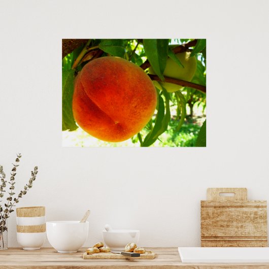 Poster Poche mûre fraîche (Cuisine)