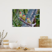 Poster Pochette à trois étoiles (Cuisine)