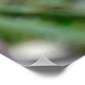 Poster Pochette à trois étoiles (Coin)