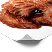 Poster Pochette de caniche de jouets (Coin)