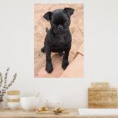 Poster Pochette de chiot en carlin noir (Cuisine)