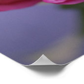 Poster Pochette de poitrine rose chaud (Coin)