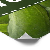 Poster Pochettes ; Pickle (Coin)